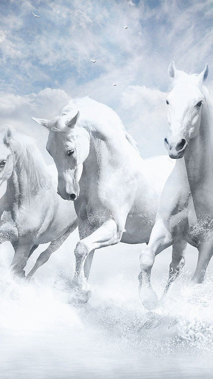 Schimmel, Herde, Galopp, Schneegestöber, Fantasie, HD, Sperrbildschirm fürs iPhone