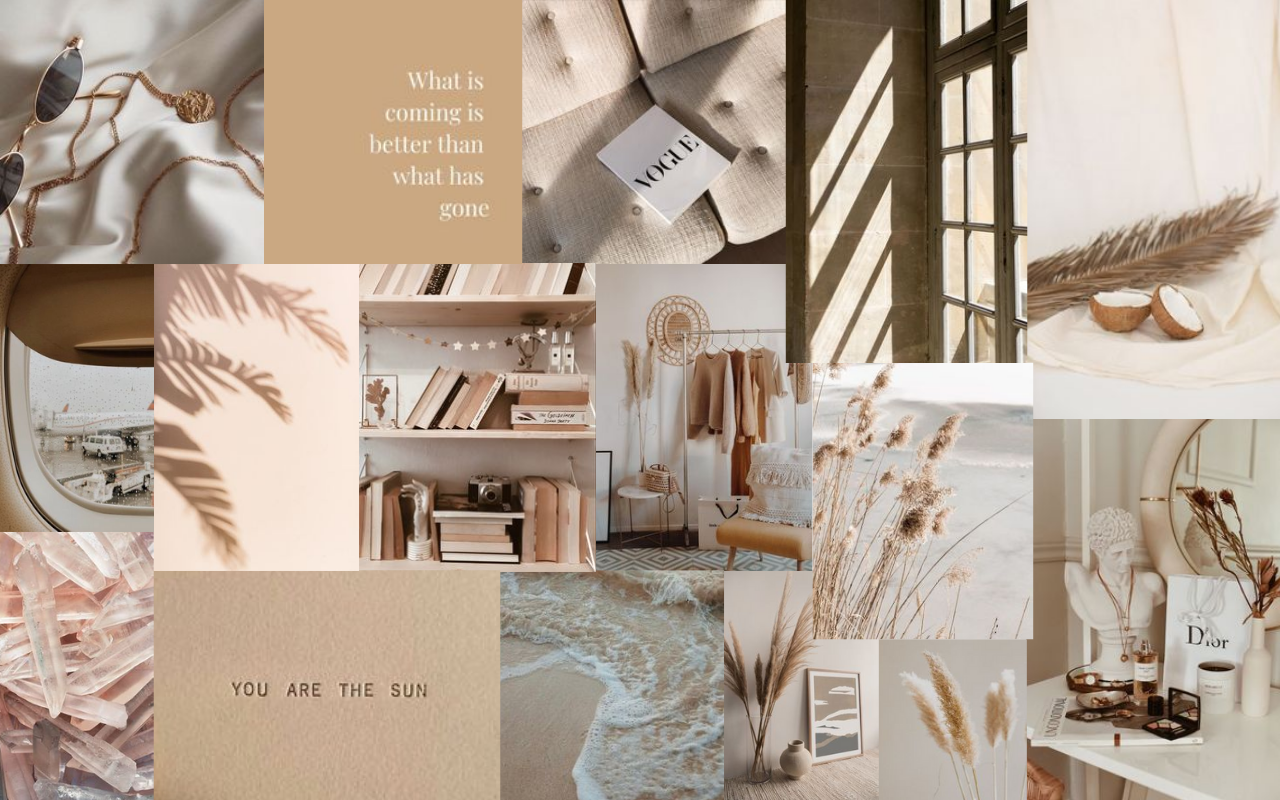 Collage, Pampasgras, Bücherregal, Beige, Ästhetik, 16:10, HD-Hintergrundbild für den Desktop