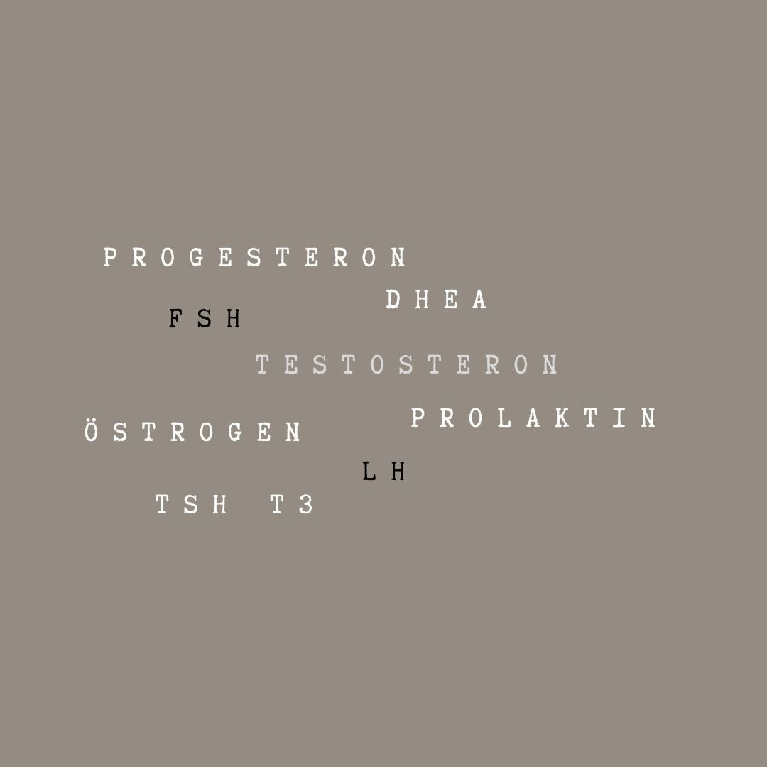 Hormone, Progesteron, Östrogen, Typografie, Grauer Hintergrund, Wallpaper
