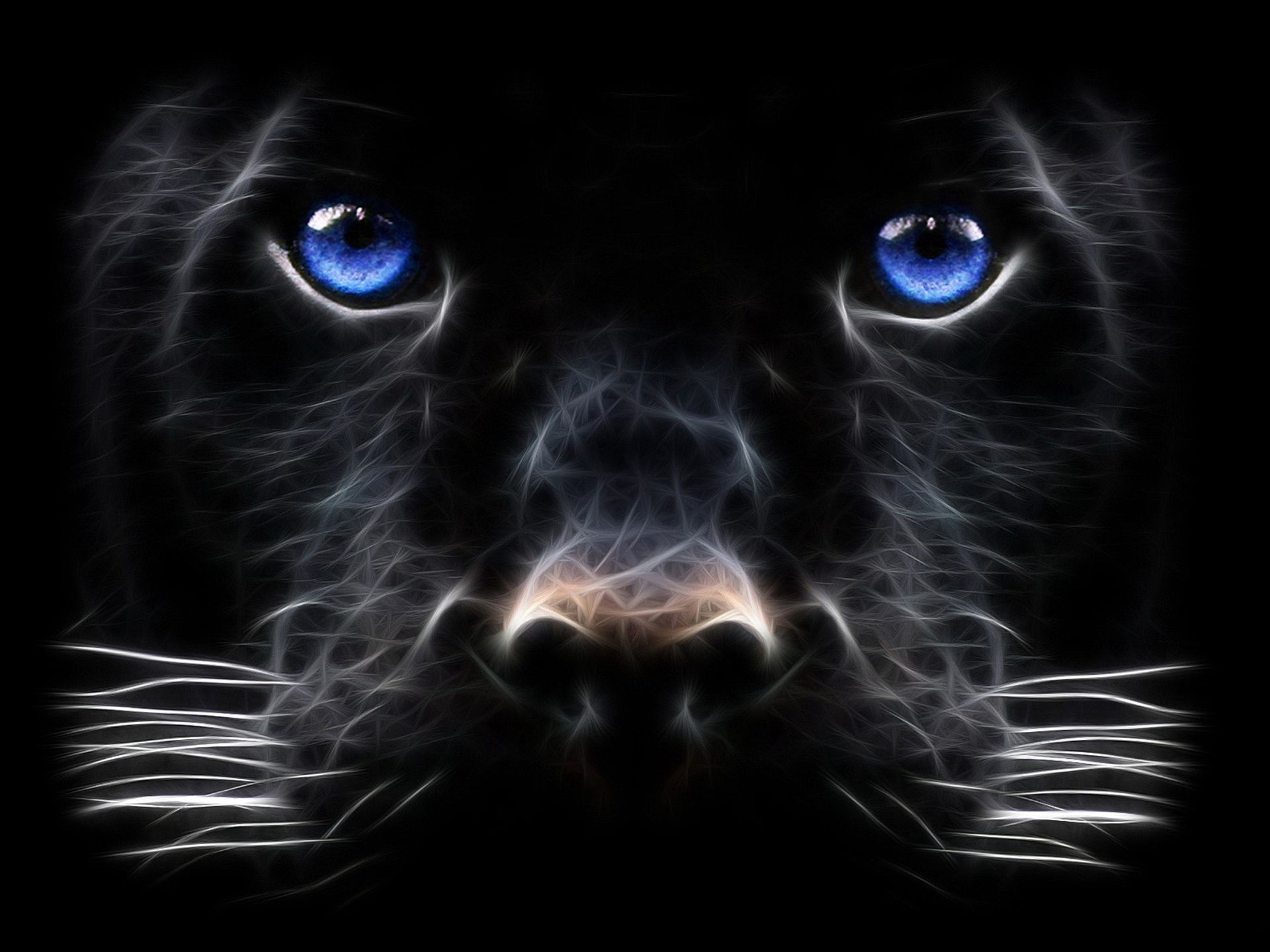 Panther, Blaue Augen, Raubkatze, Digitale Kunst, Fractalius, Full HD, Tablet-Hintergrund