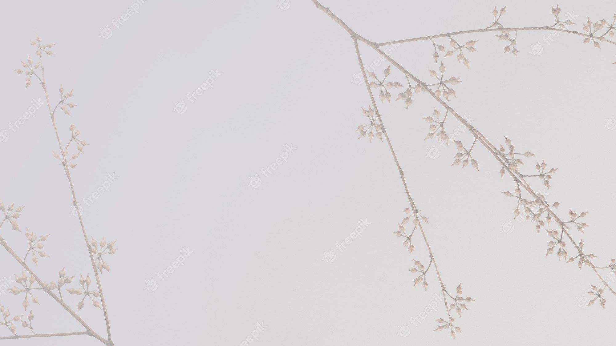Zweige, Blüten, Grau, Minimalistisch, 16:9, Full-HD-Hintergrundbild für den Desktop