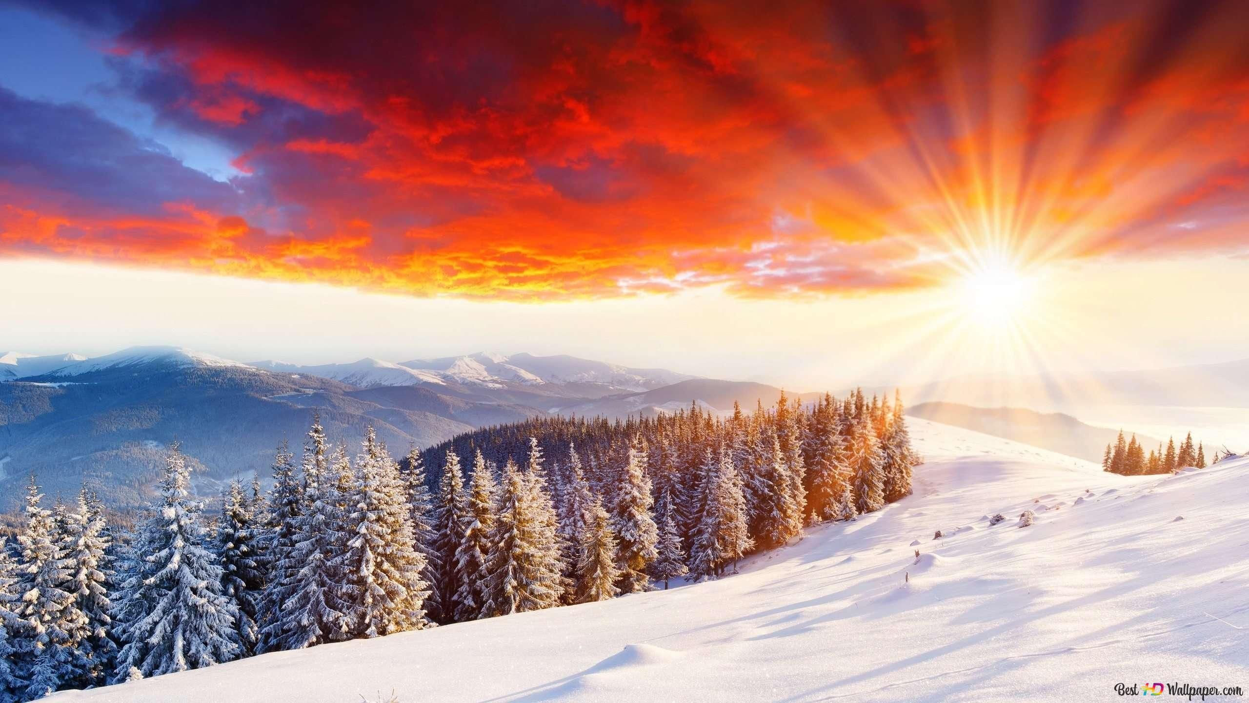 Sonnenaufgang, Verschneiter Hang, Nadelwald, Roter Himmel, Sonnenstrahlen, 2K, Laptop-Hintergrundbild