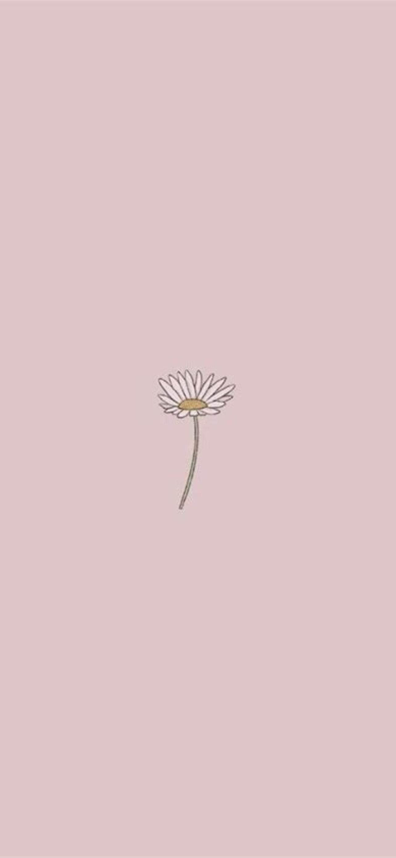 Pusteblume, Minimalismus, Altrosa, Strichzeichnung, Ästhetik, iPhone-18-Pro-Max-Sperrbildschirm