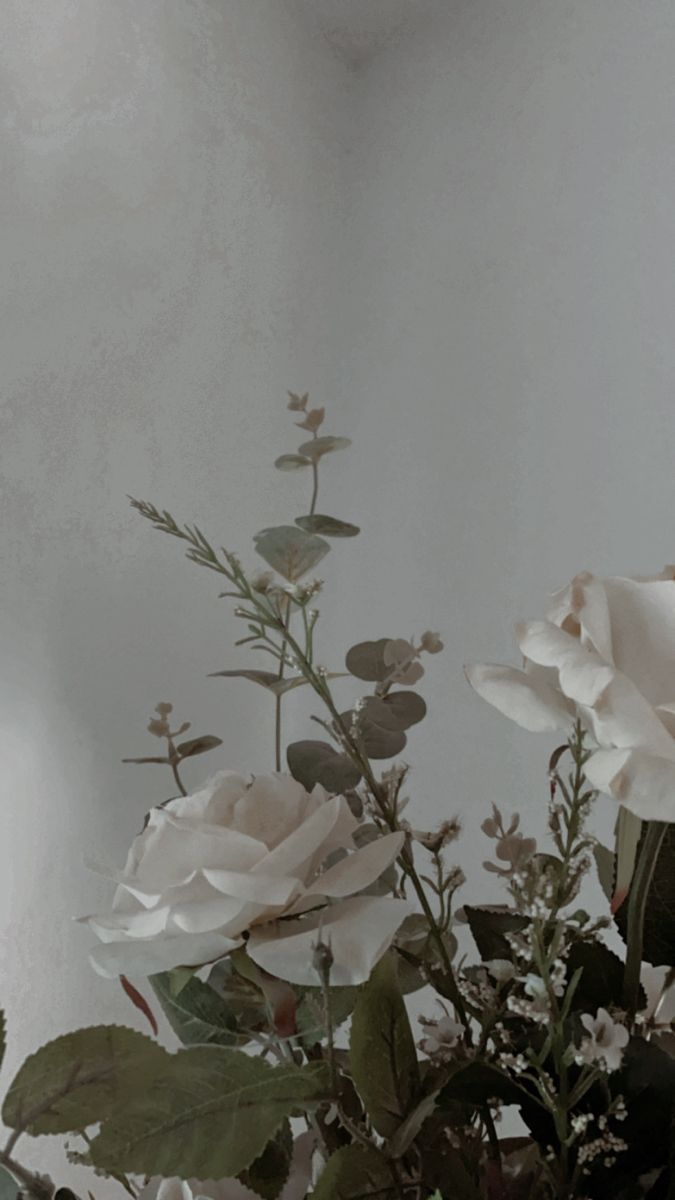 Weiße Rosen, Eukalyptus, Vase, Grau, Stillleben, Hintergrundbild für iPhone und Android