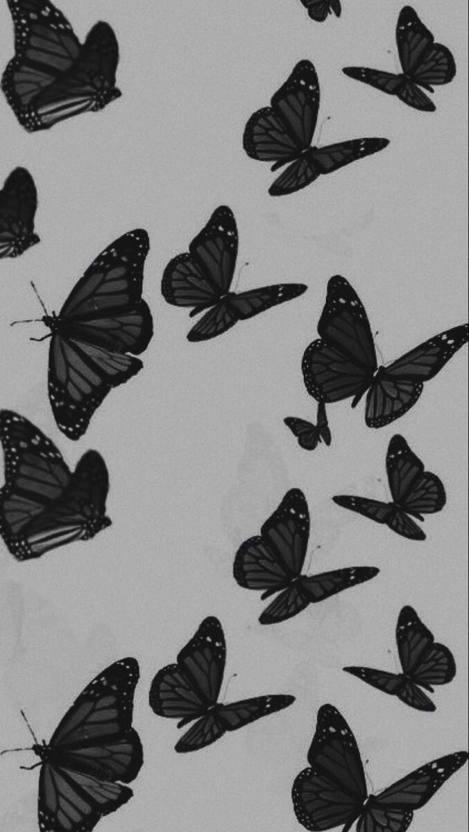 Schmetterlinge, Schwarze Schmetterlinge, Grauer Hintergrund, Muster, Silhouetten, Sperrbildschirm