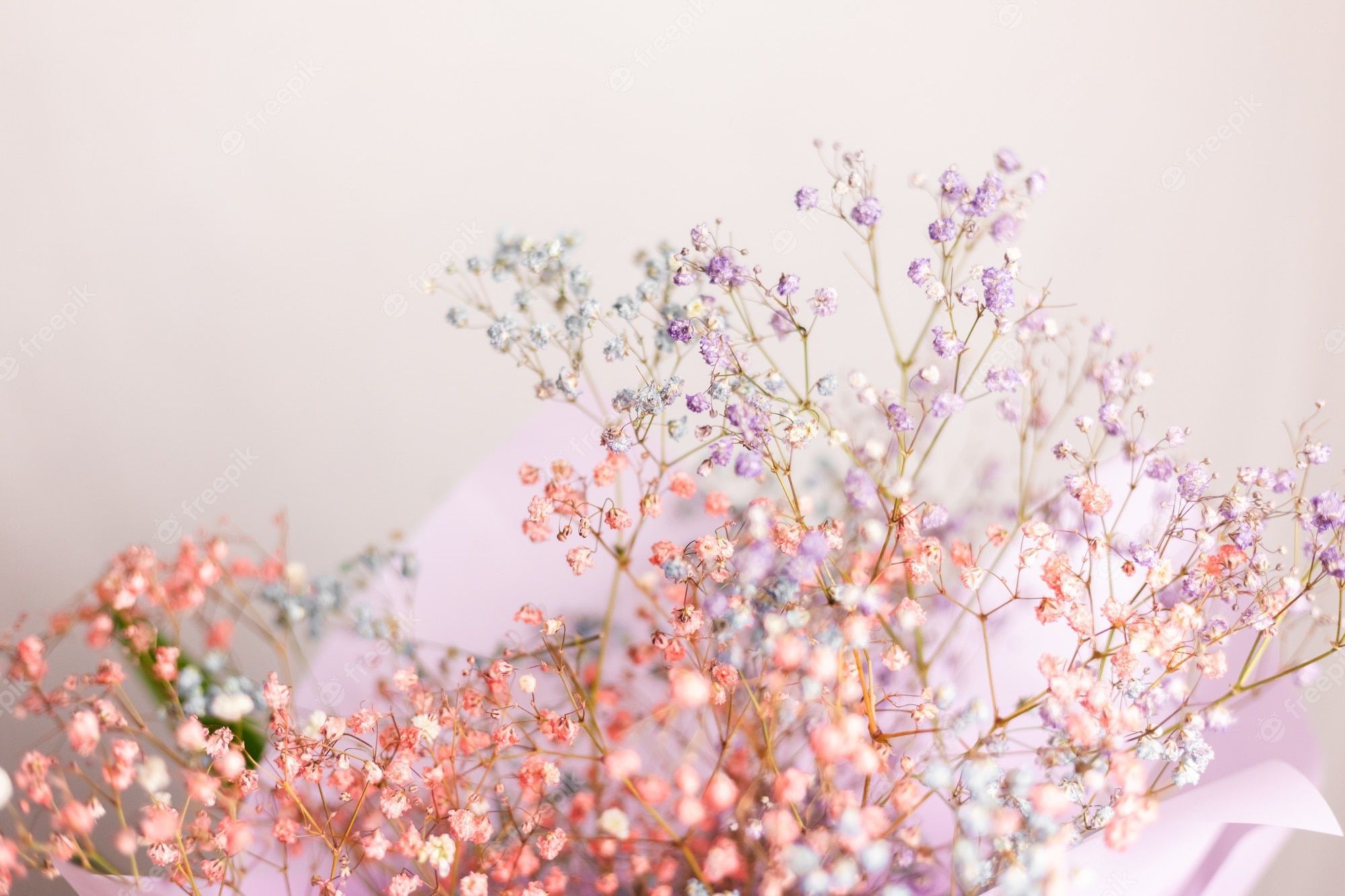 Schleierkraut, Blumenstrauß, Pastell, Rosa, Zart, Full HD, Desktop-Hintergrund für Windows