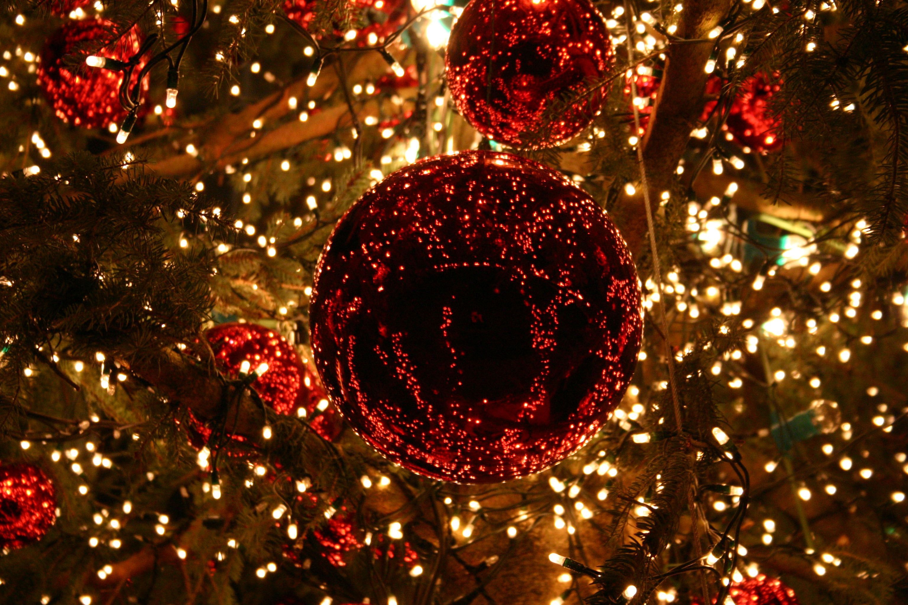 Rote Kugel, Lichterketten, Tannenbaum, Funkelnd, Dunkel, 2K-Hintergrundbild für PC