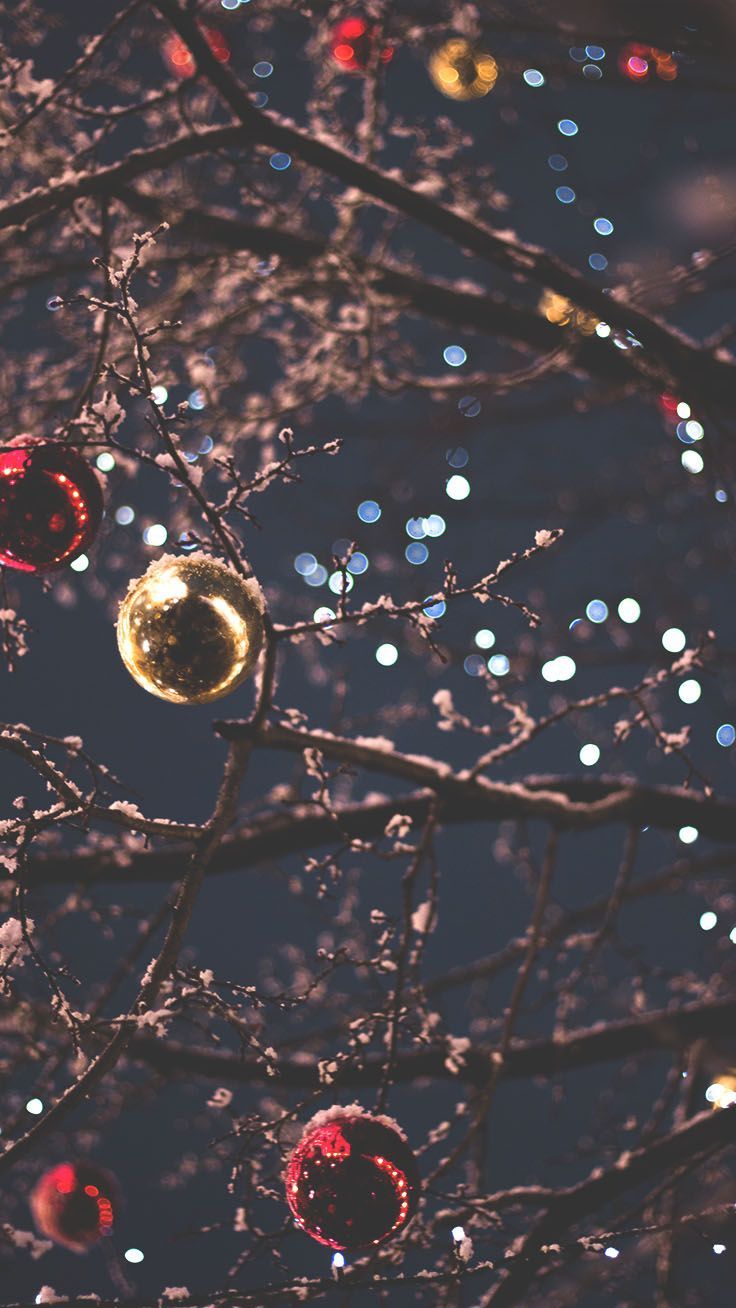 Goldene Kugel, Lichterketten, Äste, Dunkel, Bokeh, HD, Hintergrundbild fürs Handy