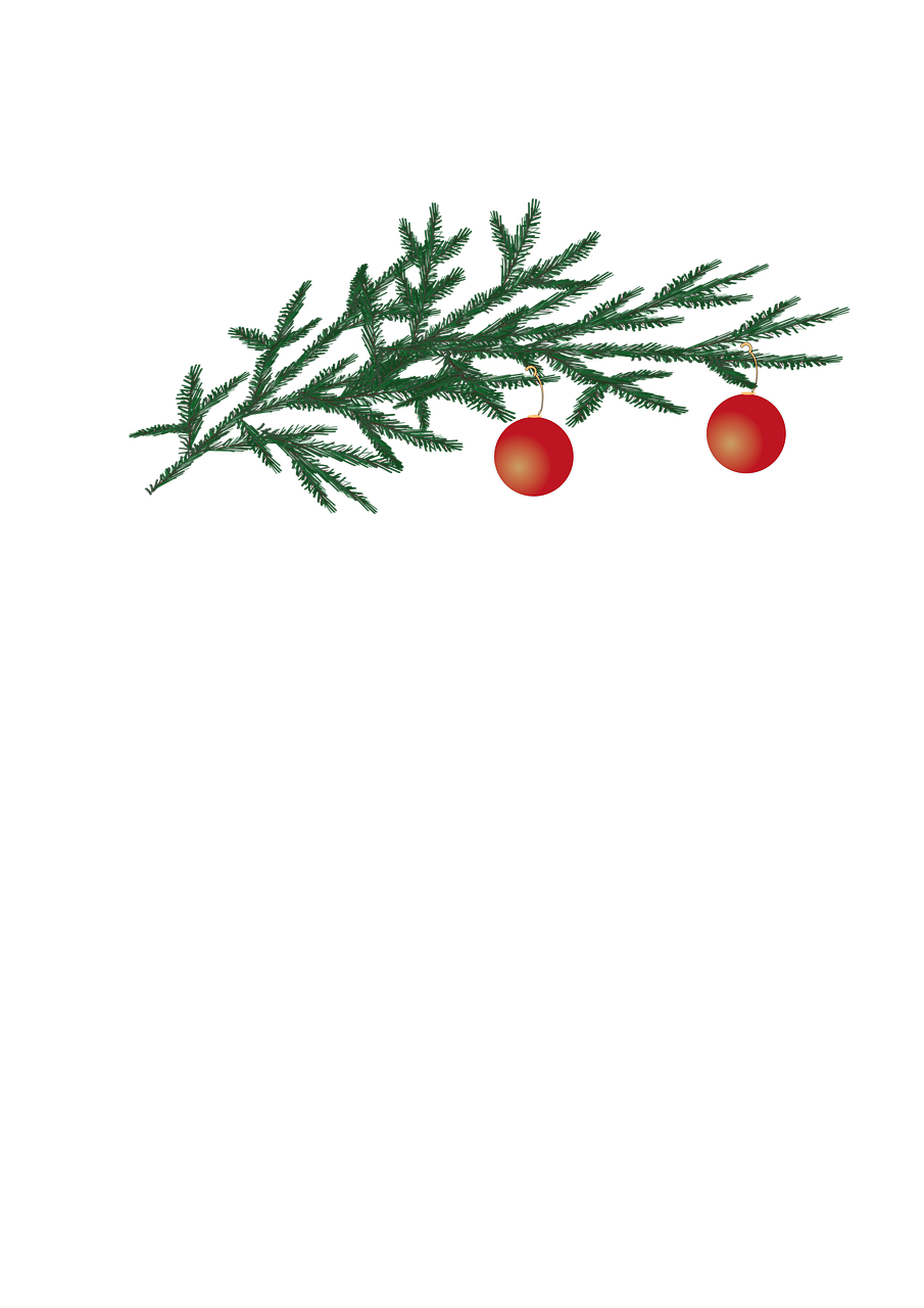 Tannenzweig, Rote Beeren, Minimalistisch, Schwarzer Hintergrund, HD Wallpaper