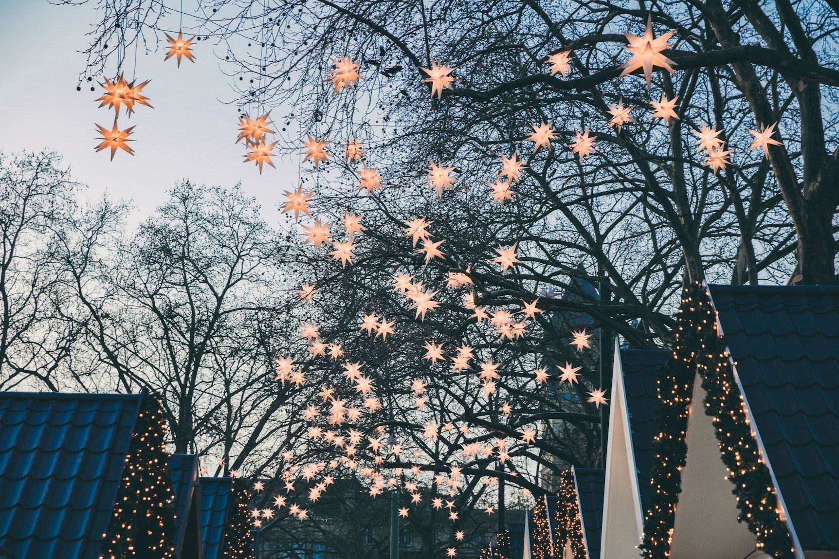 Markt der Engel, Weihnachtssterne, Kahle Bäume, Köln, Winter, Weihnachtsdeko, HD-Desktop-Hintergrund