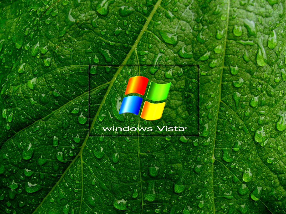 Windows Vista, Windows-Logo, Grünes Blatt, Wassertropfen, Makro, Hintergrundbild fürs Tablet