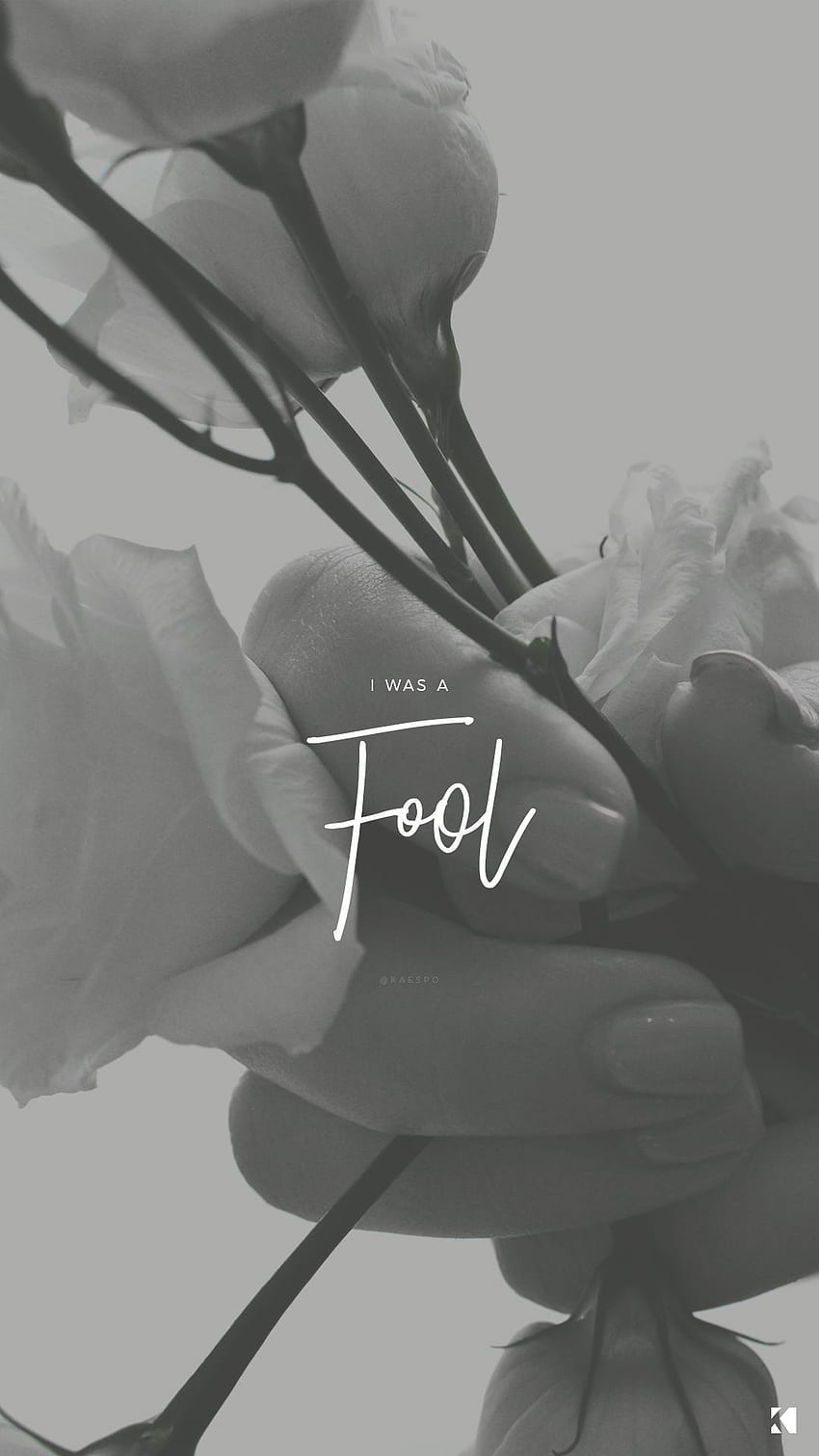 Rosen, Feel, Schriftzug, Grau, Minimalistisch, HD, Sperrbildschirm fürs iPhone