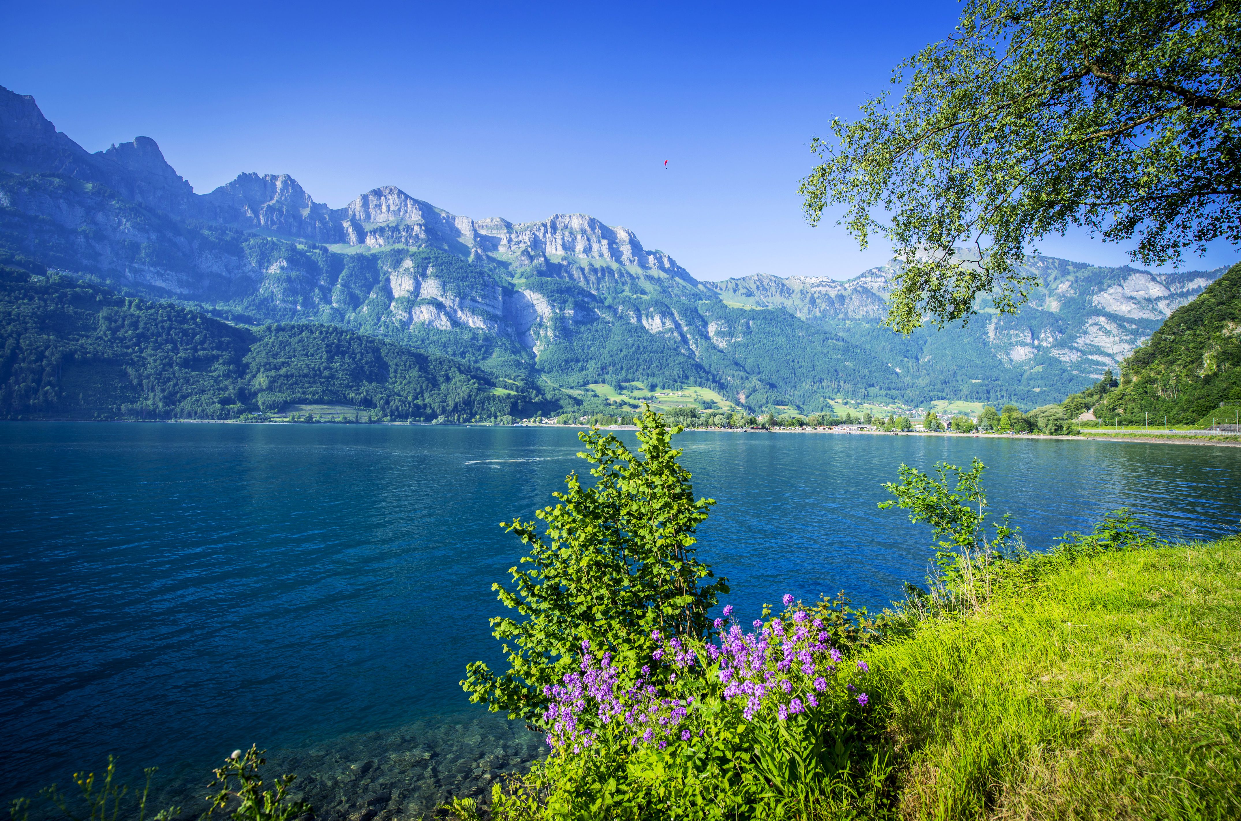 Bergsee, Alpen, Schweiz, Wildblumen, Sommer, 4K, Hintergrund für den Desktop