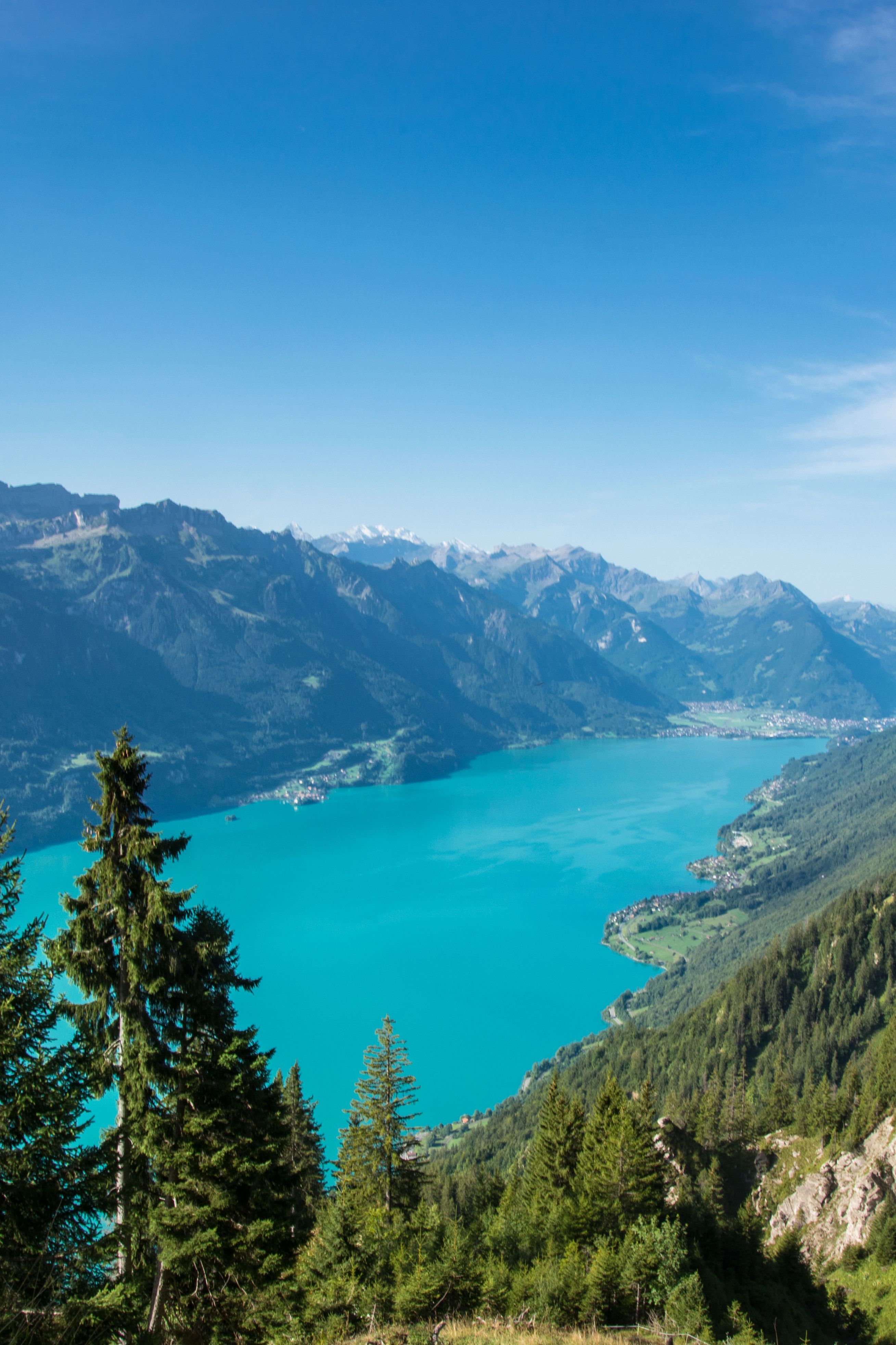 Bergsee, Türkisblaues Wasser, Tannen, Alpen, QHD+, Sperrbildschirm fürs iPhone