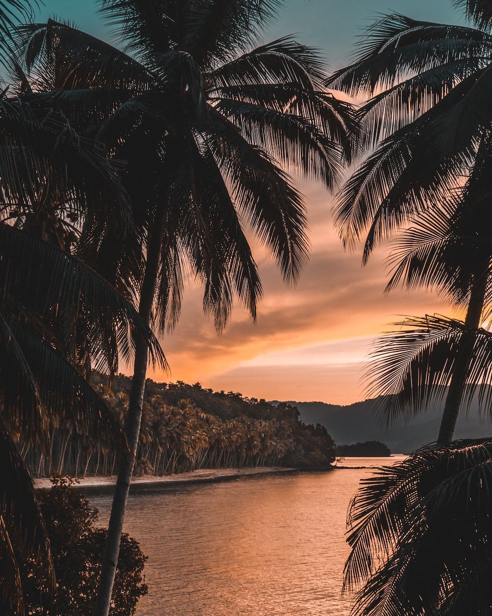 Palmen, Bucht, Sonnenuntergang, Tropen, Silhouette, HD, Hintergrundbild fürs Tablet