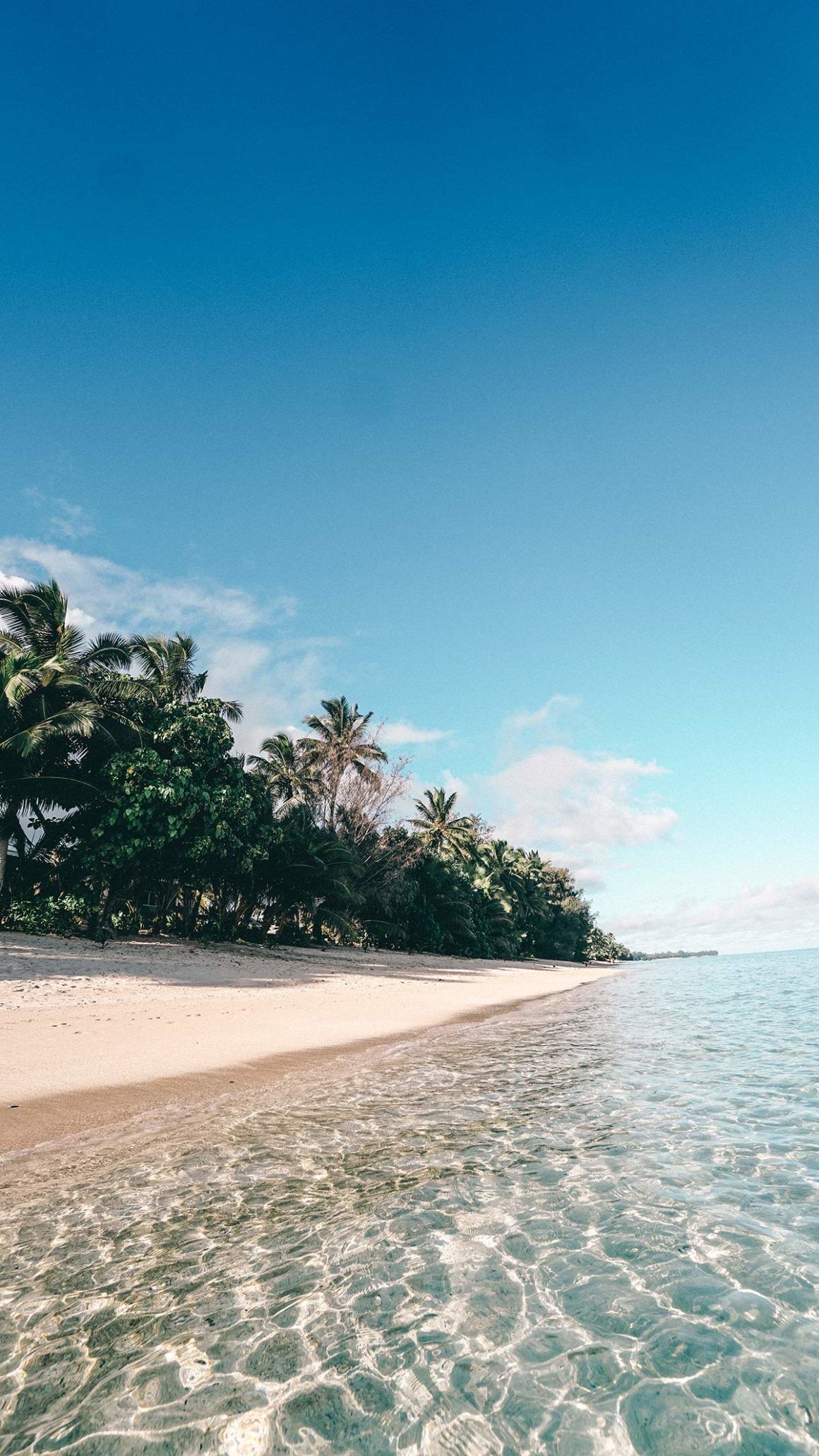 Sandstrand, Türkises Wasser, Tropeninsel, Palmen, Klarer Himmel, Full HD, Handy-Hintergrundbild