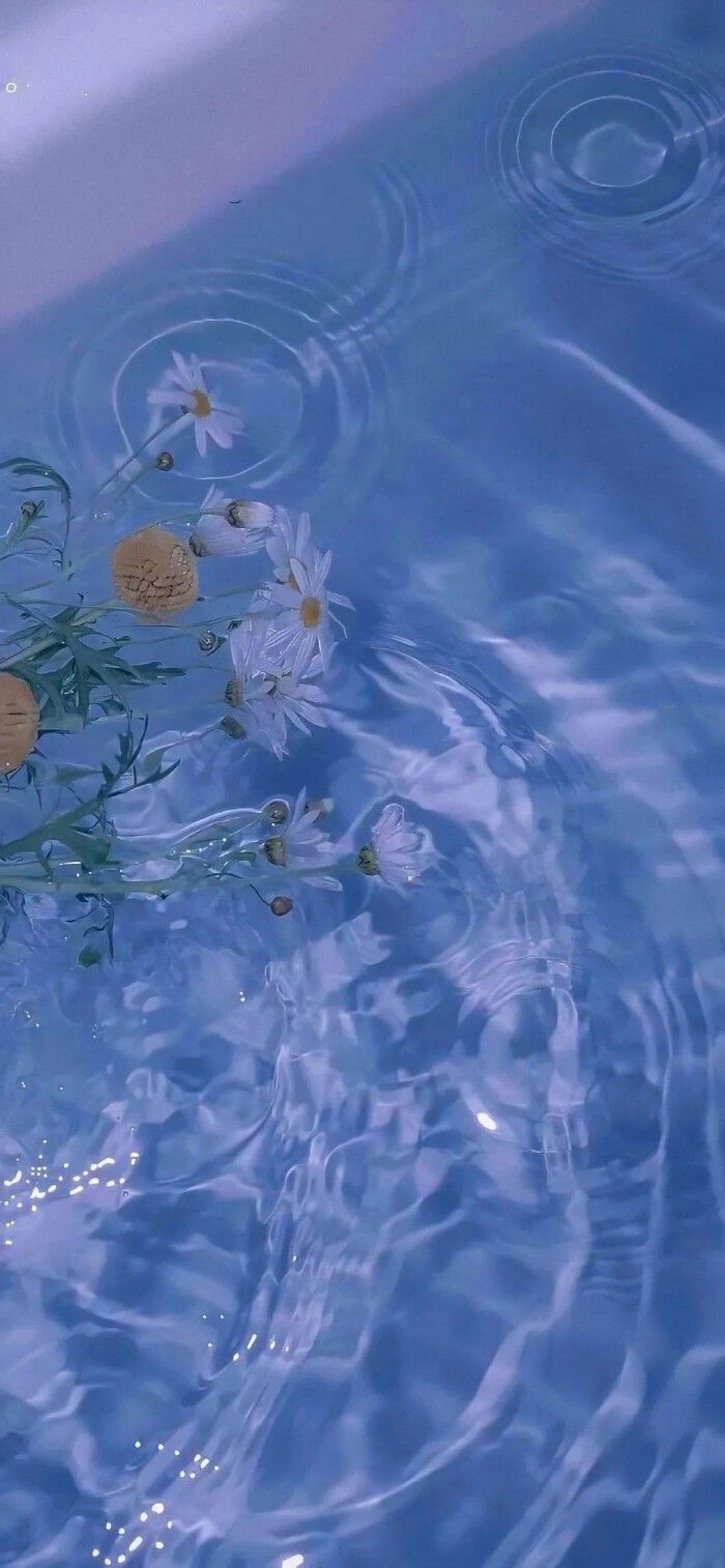 Kamille, Wasser, Wellen, Blaues Licht, Ästhetik, Hintergrundbild für iPhone und Android