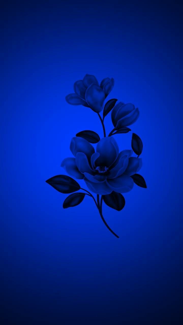Blaue Rose, Dunkelblauer Hintergrund, Leuchten, Minimalistisch, Silhouette, Sperrbildschirm fürs iPhone