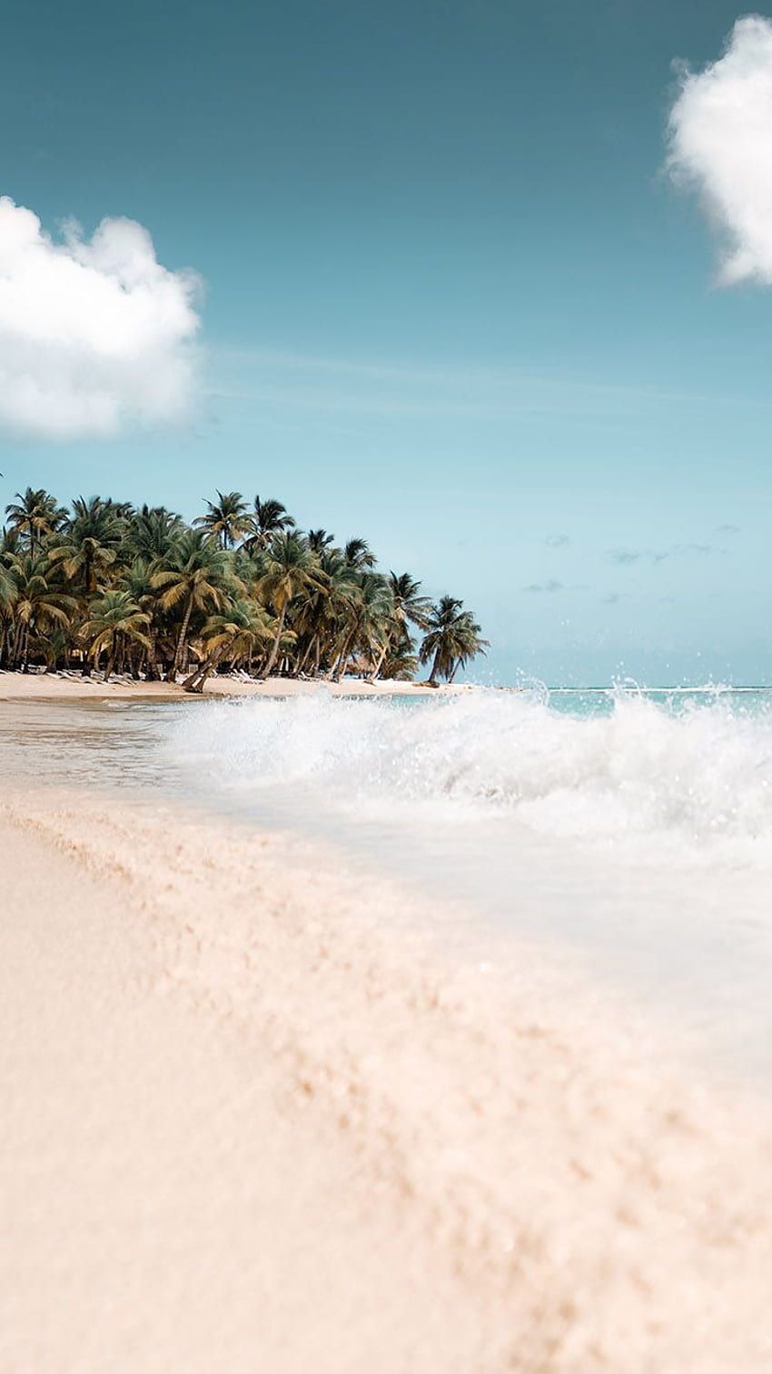 Sandstrand, Wellen, Palmen, Tropeninsel, Pastell, HD, Handy-Hintergrund im Hochformat