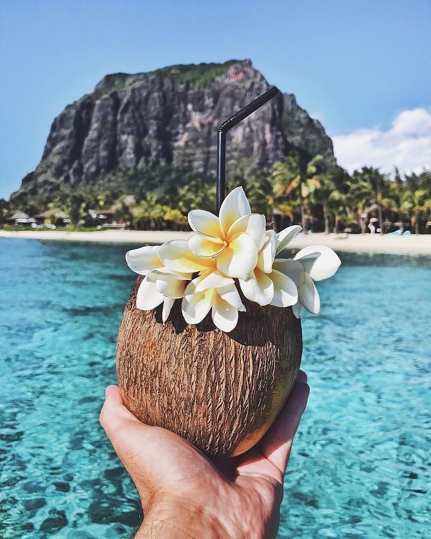 Le Morne Brabant, Mauritius, Kokosnuss, Frangipani, Lagune, Tropen, Hintergrundbild fürs iPad