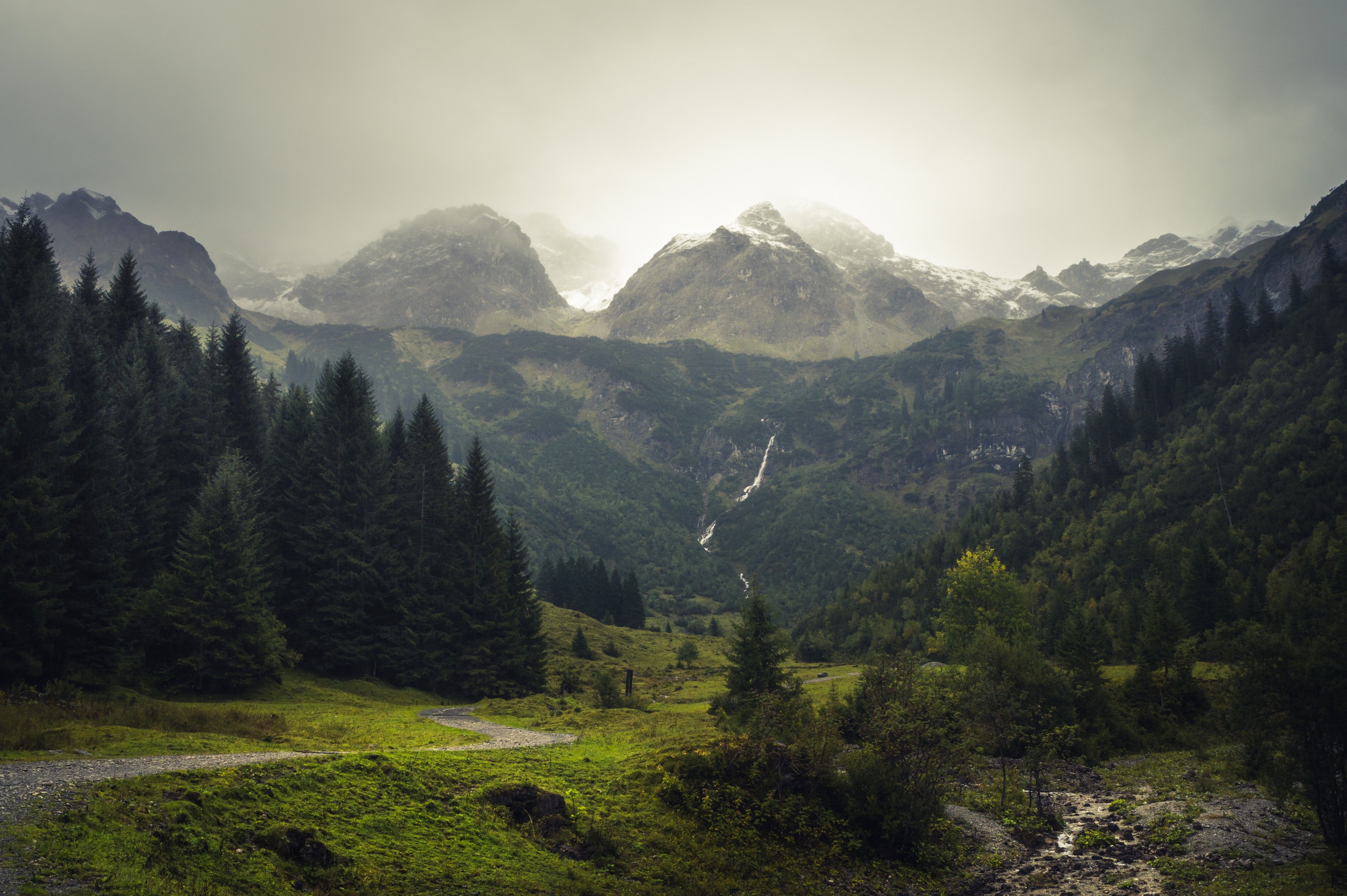 Bergtal, Nebel, Wald, Alpen, Gegenlicht, 4K, Desktop-Hintergrund für Windows