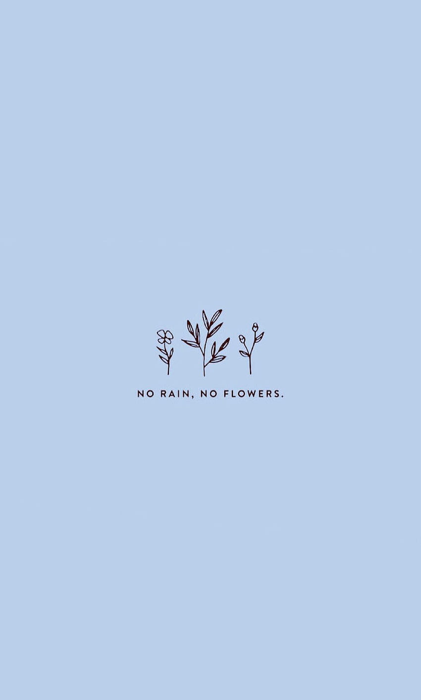 No rain, no flowers, Spruch, Hellblauer Hintergrund, Minimalismus, Zeichnung, Sperrbildschirm