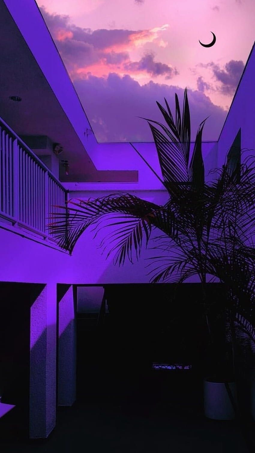 Balkon, Palme, Lila Himmel, Mond, Dämmerung, Vaporwave, Hintergrundbild für iPhone und Android