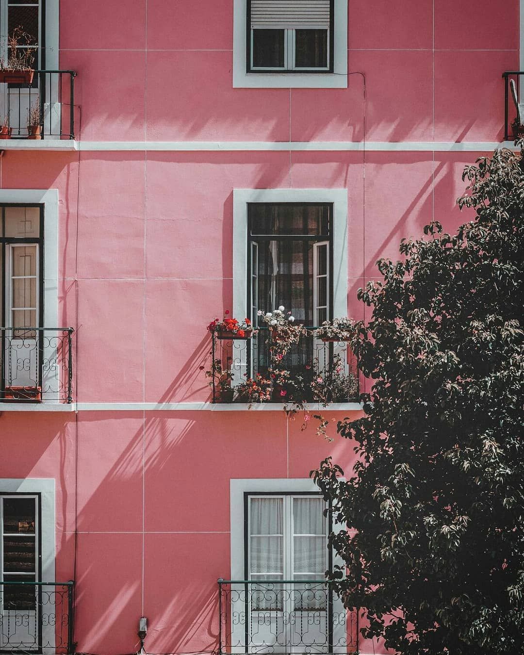 Rosa Fassade, Fenster, Balkone, Baum, Altbau, Full HD, iPad-Hintergrundbild