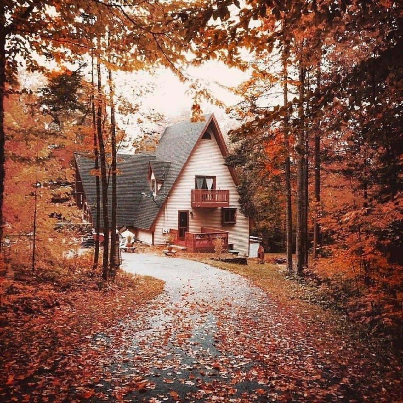 Waldhaus, Herbstlaub, Weg, Herbstwald, Orange, Hintergrundbild für iPad und Tablet