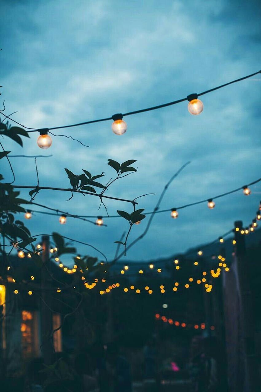 Lichterkette, Abendhimmel, Garten, Gemütlich, Dämmerung, Android-Hintergrundbild