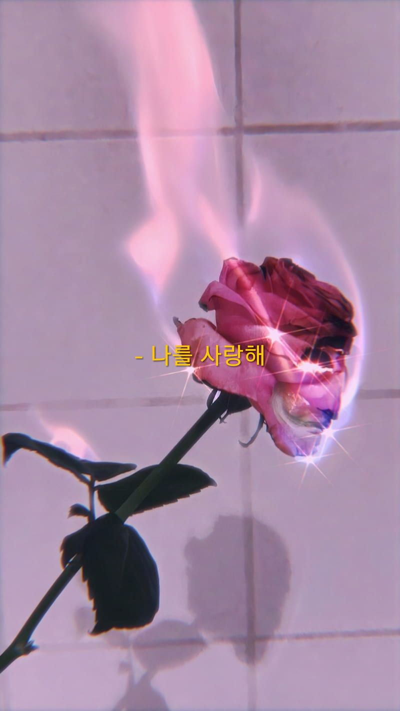 Brennende Rose, Flammen, Surreal, Lila, HD, Handy-Hintergrund im Hochformat