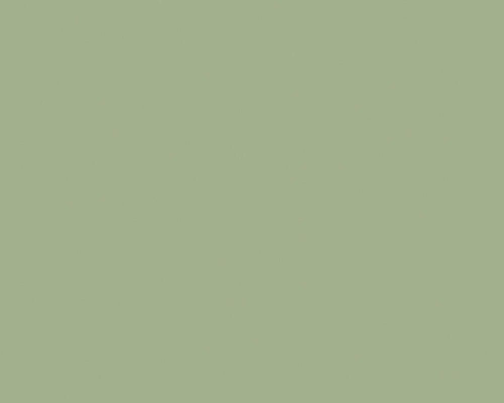 Salbeigrün, Einfarbig, Minimalistisch, Grüner Hintergrund, Wallpaper