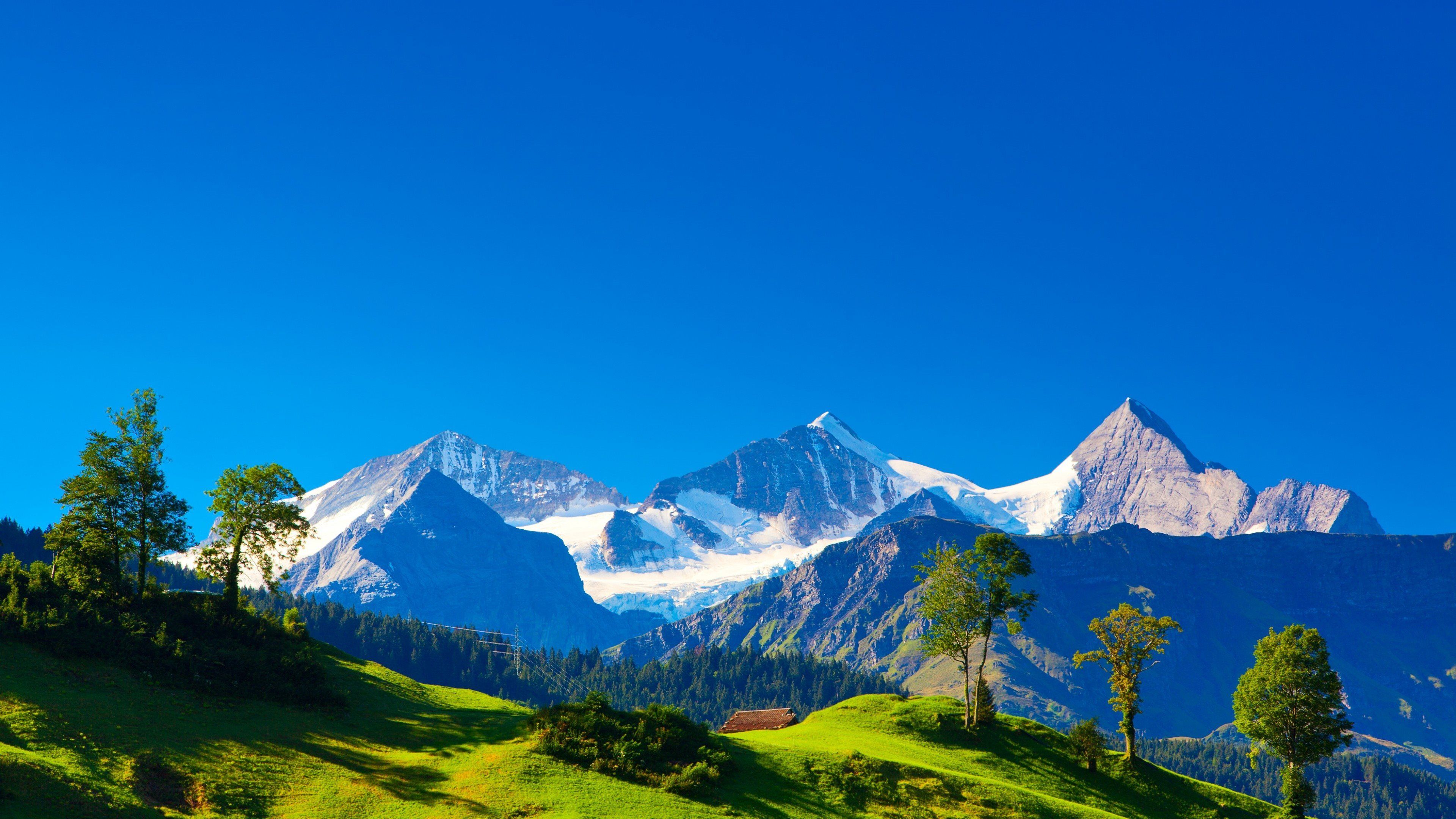 Alpen, Schneegipfel, Blauer Himmel, Bäume, Wiese, 4K, Hintergrundbild für den PC
