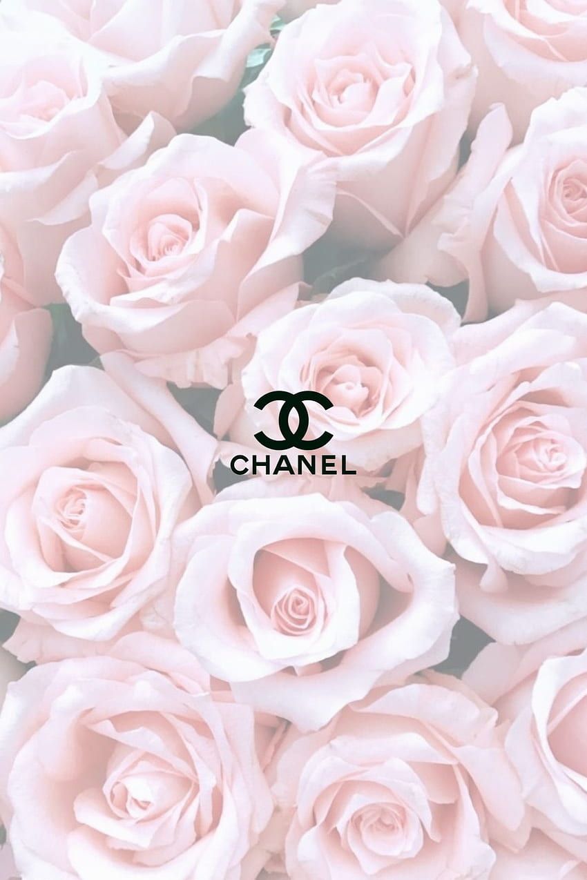 Chanel, Weiße Rosen, Logo, Pastell, Hintergrundbild für iPhone und Android