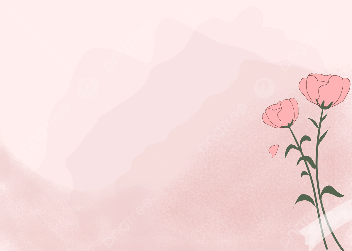 Rosen, Aquarell, Illustration, Hellrosa, Hintergrundbild