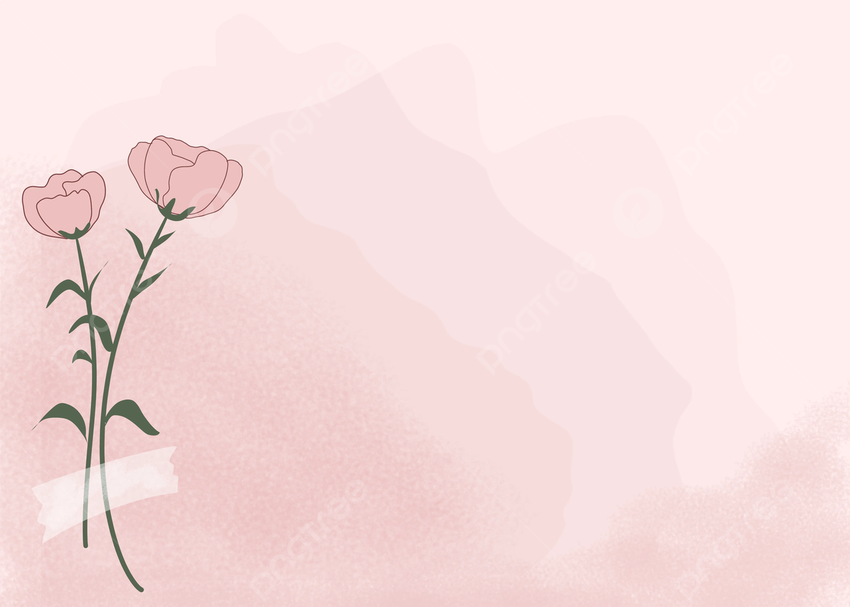 Rosen, Illustration, Aquarell, Hellrosa, Hintergrund