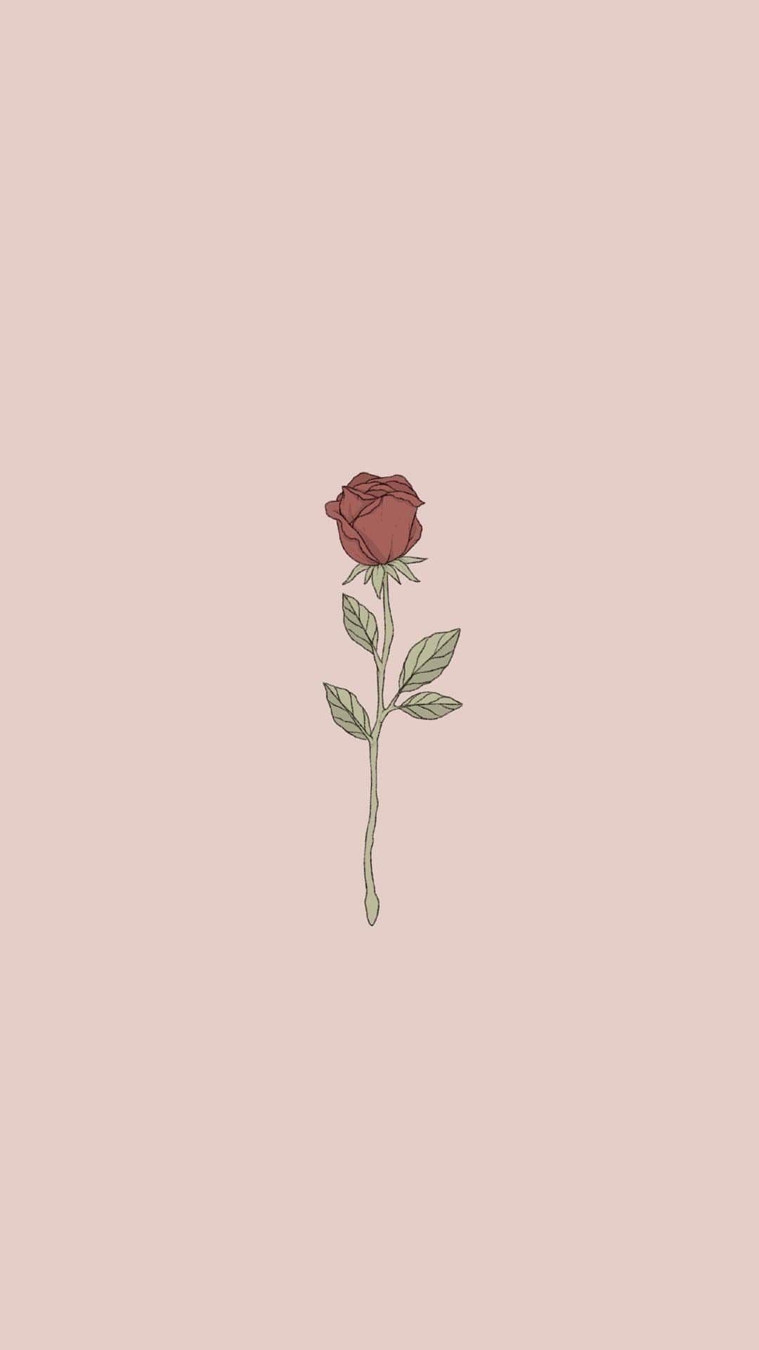 Rose, Illustration, Minimalismus, Altrosa, Full HD, Hintergrundbild fürs Handy
