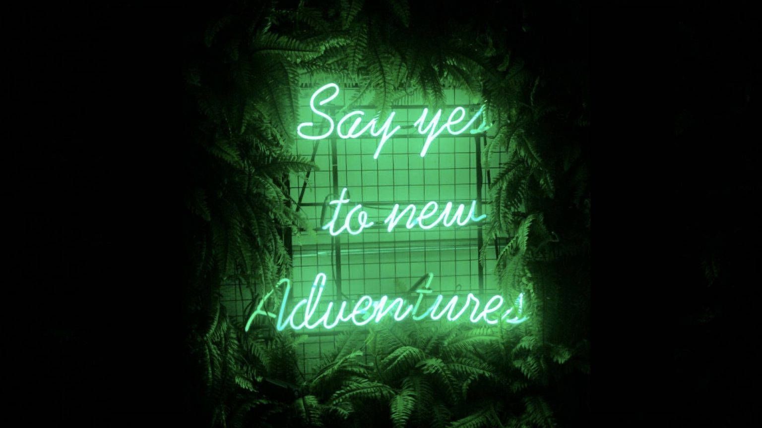Say yes to new adventures, Neonschrift, Pflanzen, Dunkel, Leuchtreklame, HD, PC-Hintergrundbild