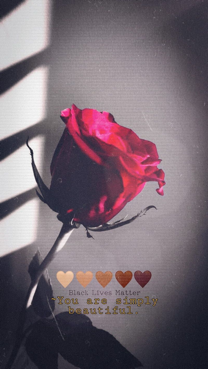 Pinke Rose, Spruch, Herzen, Schatten, Hochformat, Hintergrundbild fürs Smartphone