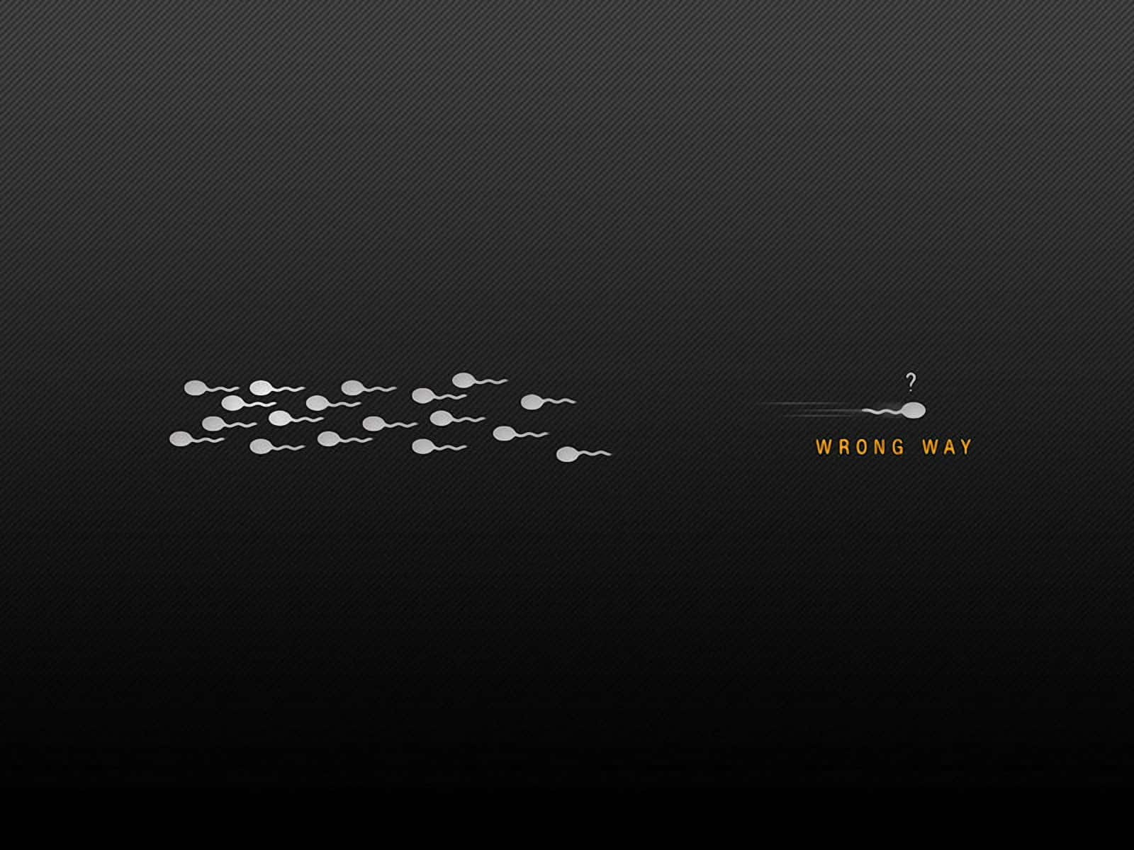 Spermien, Falscher Weg, Motivation, Schwarzer Hintergrund, Minimalistisch, Text, HD Wallpaper