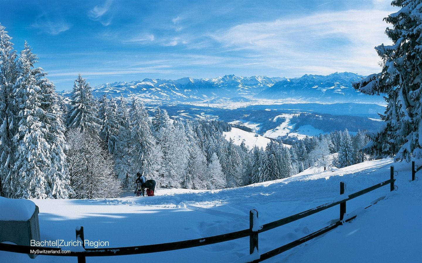 Bachtel, Zürcher Oberland, Schweiz, Winter, Schnee, Bergpanorama, HD, PC-Hintergrundbild