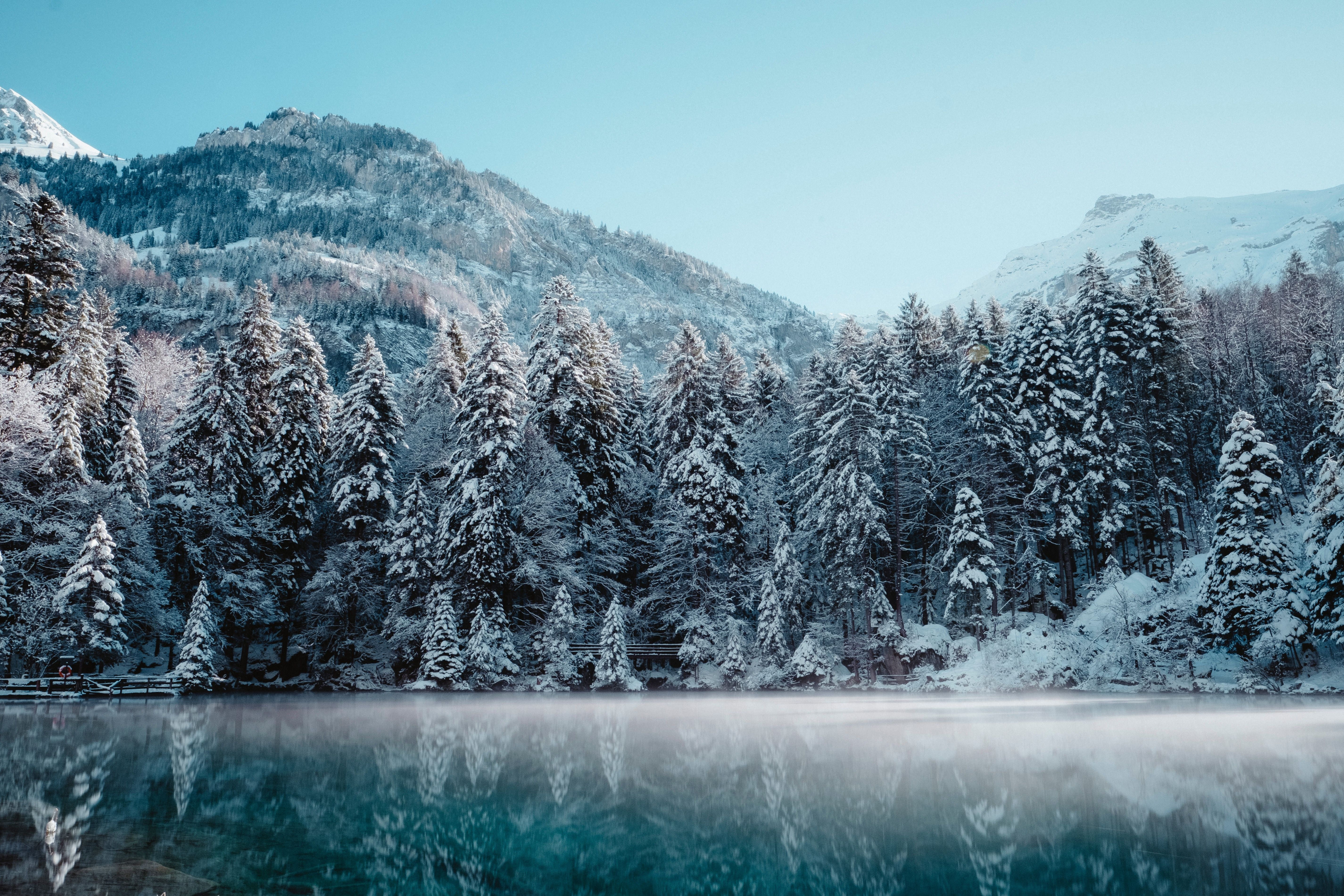 Winterwald, Raureif, See, Nebel, Schnee, 5K, Desktop-Hintergrund für Windows