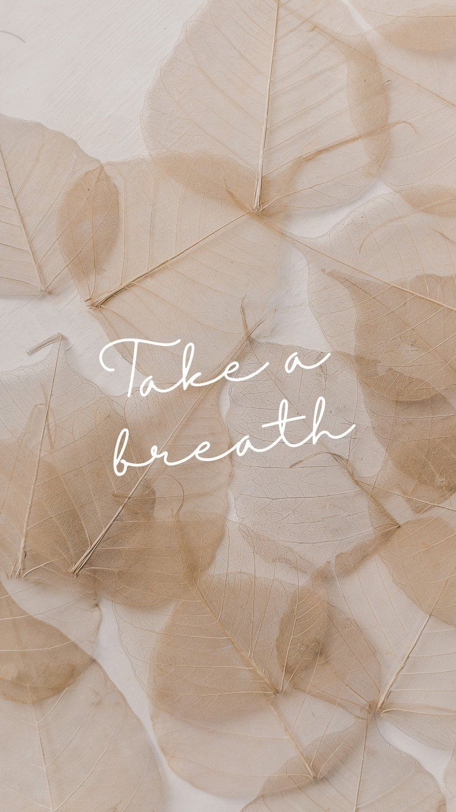 Take a Breath, Skelettblätter, Schriftzug, Beige, Natur, HD, iPhone-Hintergrundbild