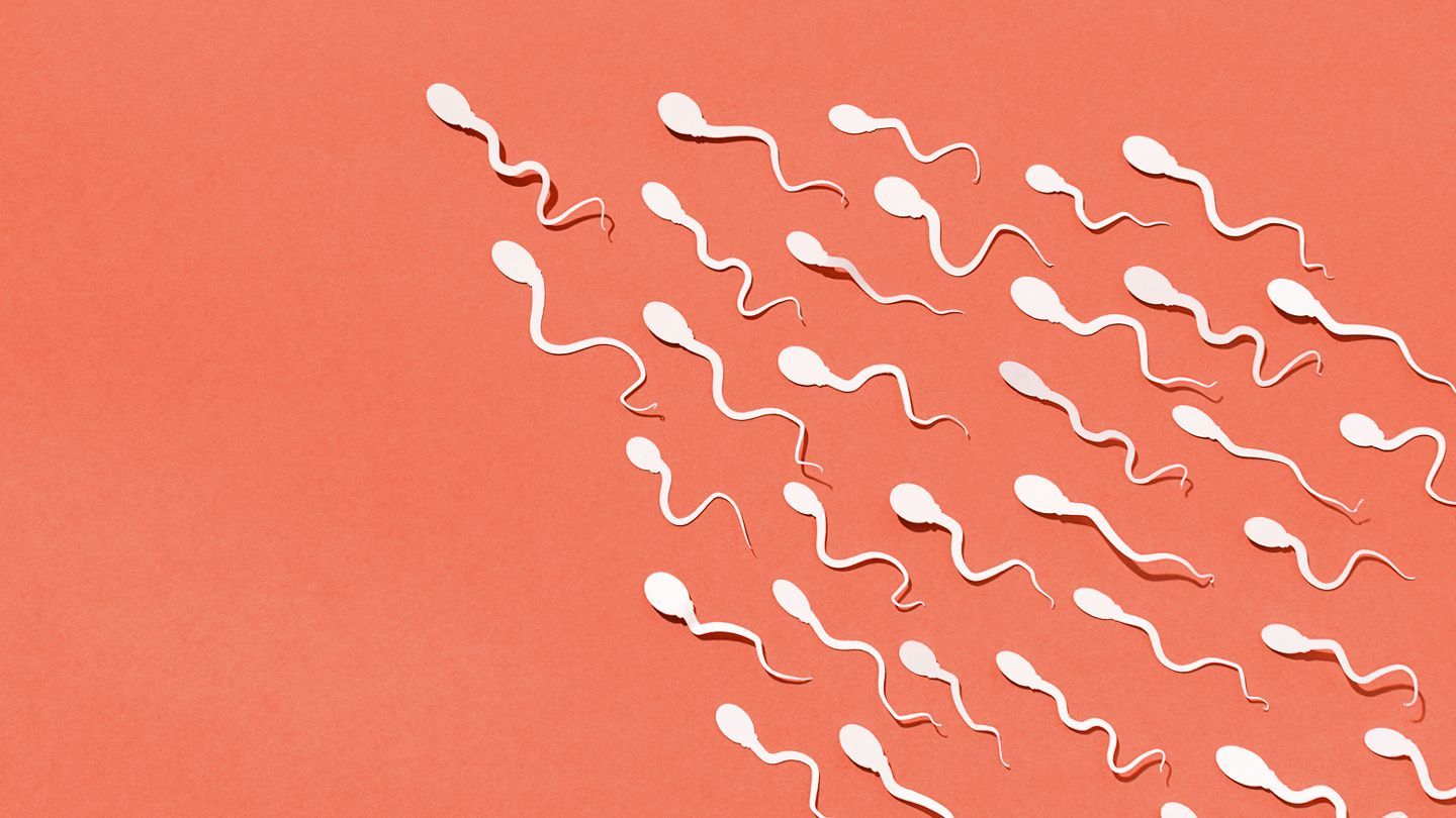 Spermien, Illustration, Orange, Muster, 16:9, HD-Hintergrundbild für den Desktop