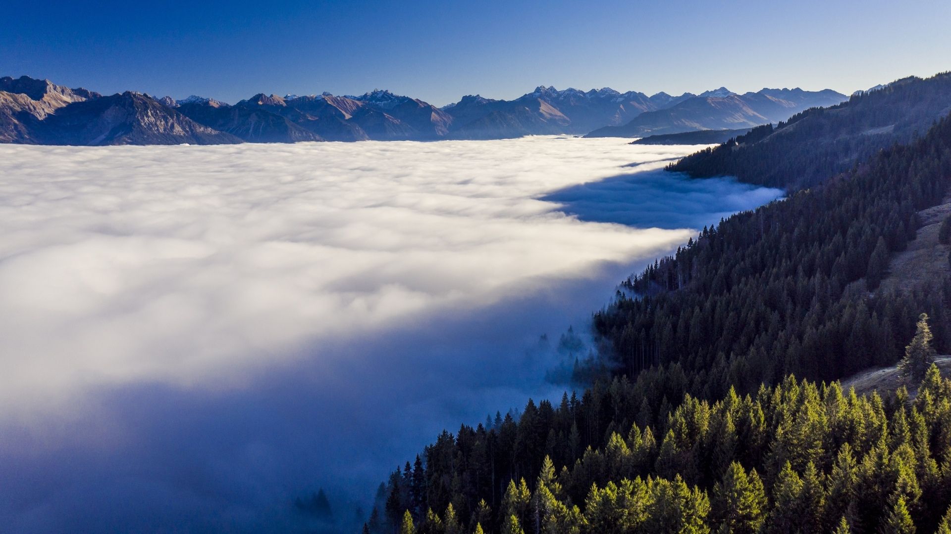 Nebelmeer, Alpenpanorama, Wald, Blauer Himmel, Luftaufnahme, Full HD, Laptop-Hintergrundbild