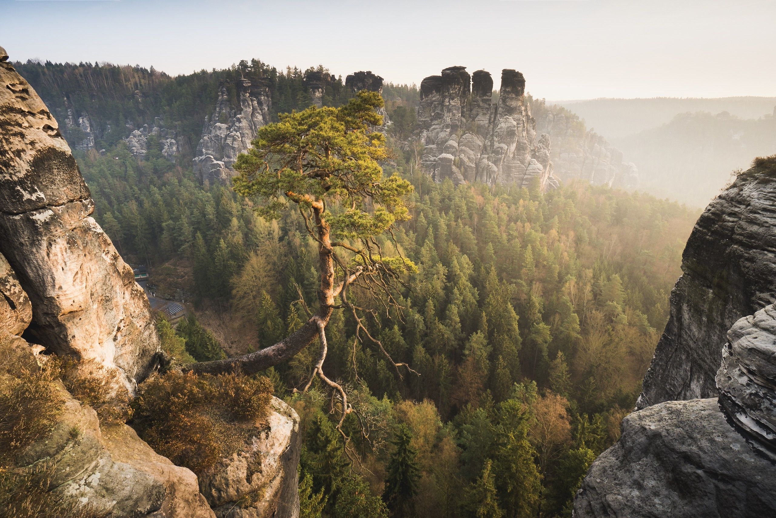 Sächsische Schweiz, Elbsandsteingebirge, Felsen, Kiefer, Morgenlicht, 2K-Hintergrundbild für PC
