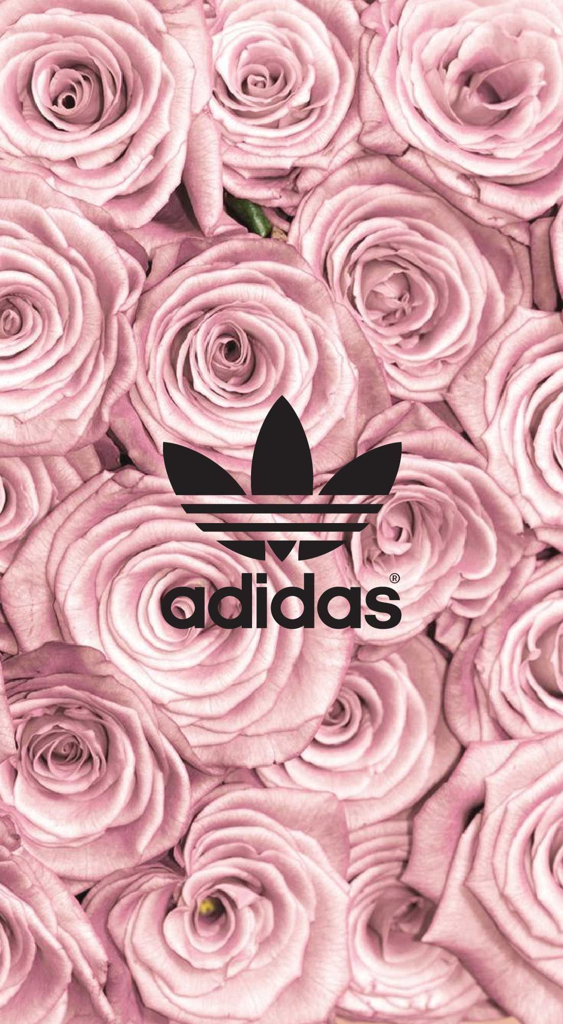 Adidas, Kleeblatt-Logo, Rosen, Rosa, Blumen, Full HD, Sperrbildschirm fürs iPhone