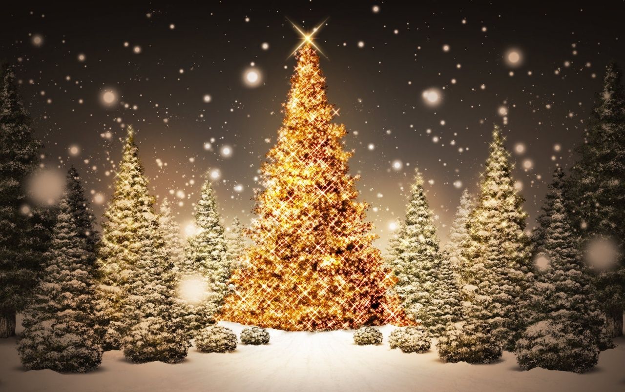 Goldener Christbaum, Tannenwald, Schneefall, Nacht, Glitzer, HD, PC-Hintergrundbild