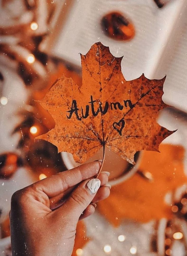 Ahornblatt, Autumn, Schriftzug, Hand, Orange, HD, Hintergrundbild fürs Tablet