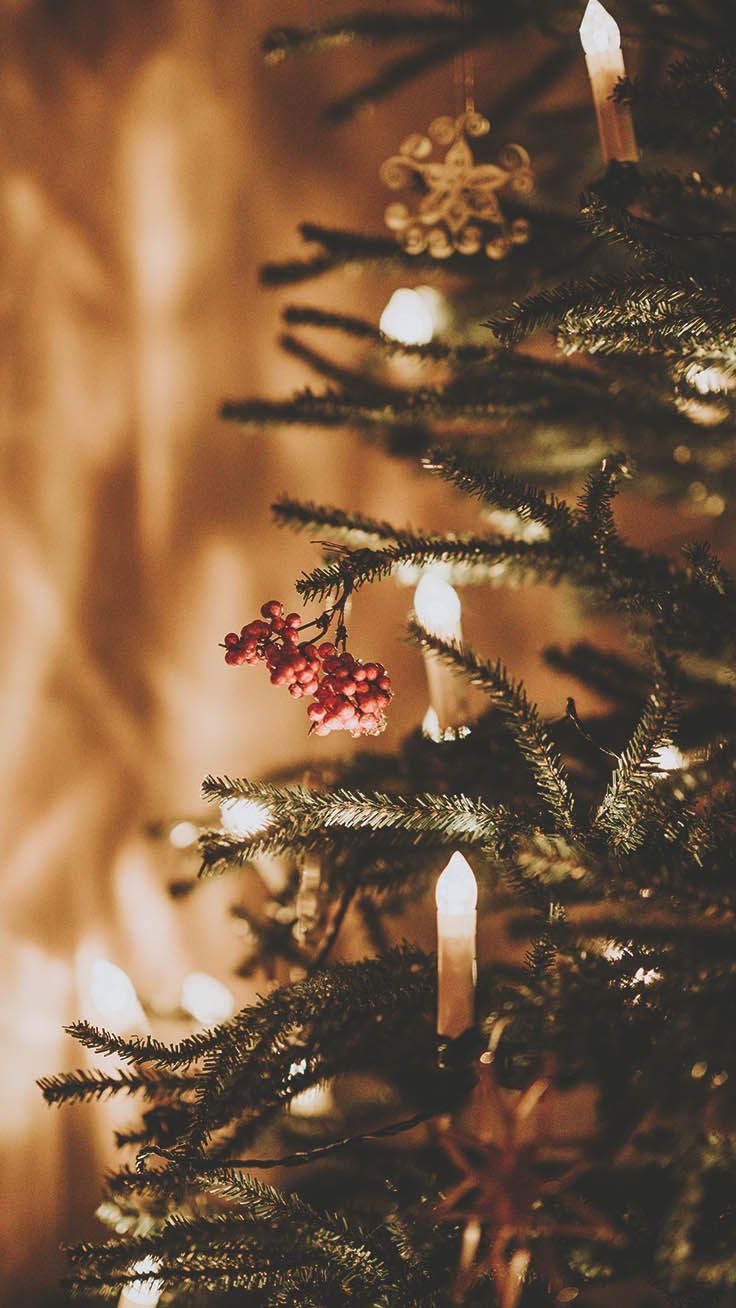 Kerzen, Tannenzweige, Roter Christbaumschmuck, Warmes Licht, Nahaufnahme, HD, iPhone-Hintergrundbild